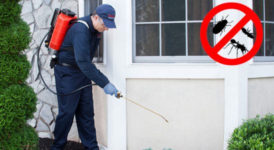 Cumayeri Böcek ve Haşere İlaçlama böcek ilaçlama ve haşere kontrolü — ilaclama-tr.com
